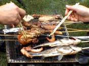 供应韩国烧烤网 日本烤肉网 旅游野餐网